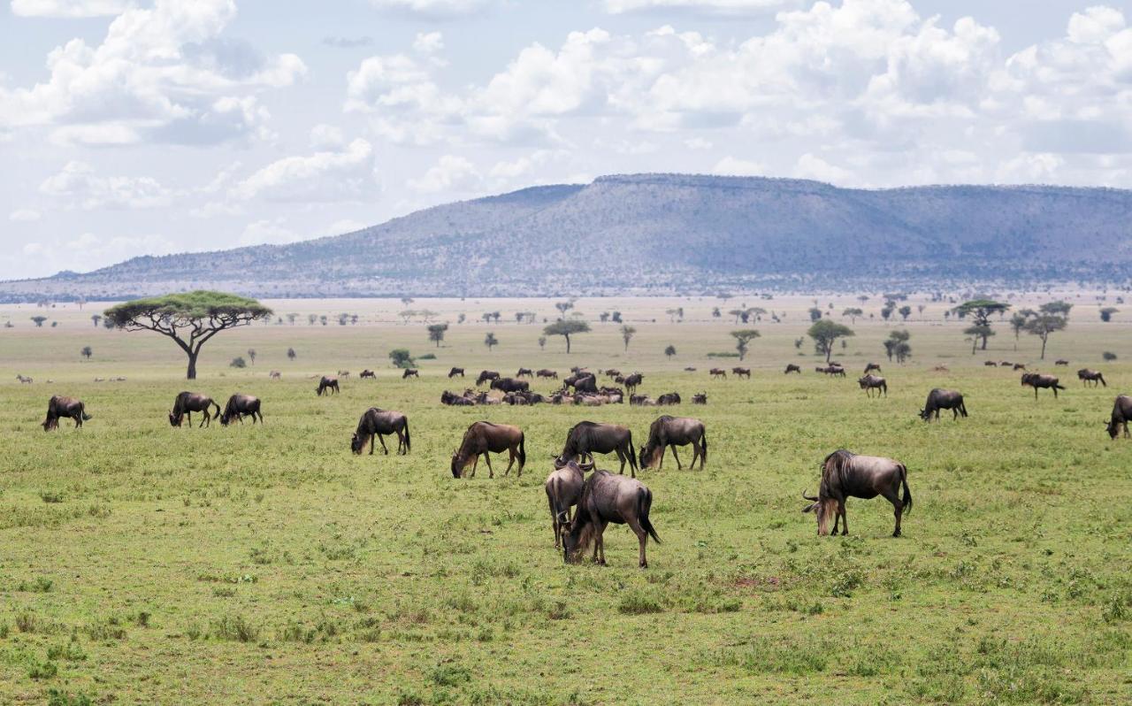 Ngorongoro Lodge Member Of Melia Collection - The Leading Hotels Of The World Esterno foto