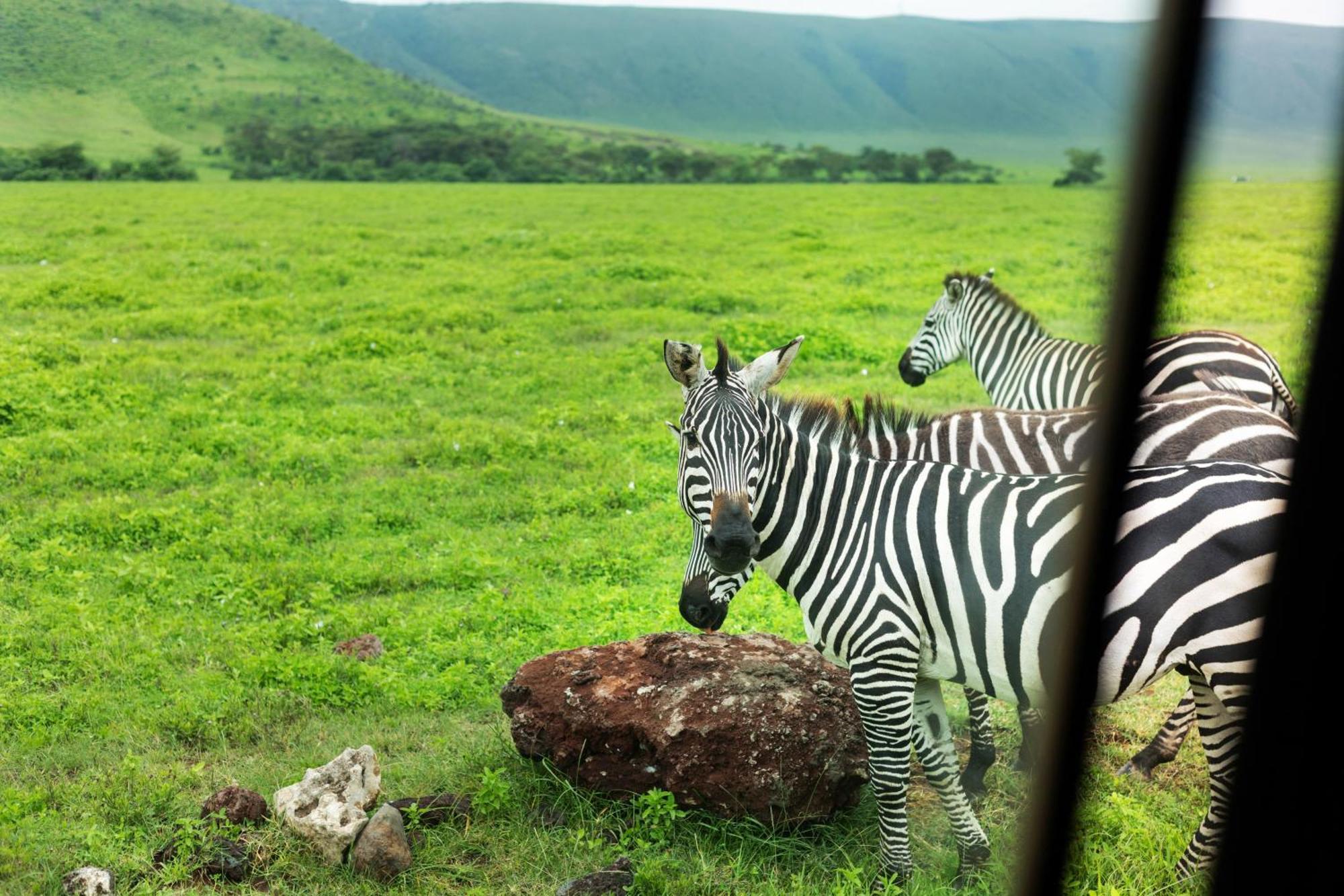 Ngorongoro Lodge Member Of Melia Collection - The Leading Hotels Of The World Esterno foto